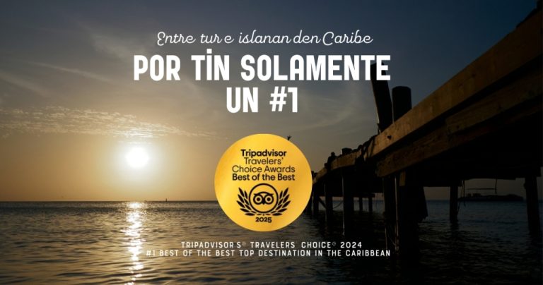 Tripadvisor Award (1)